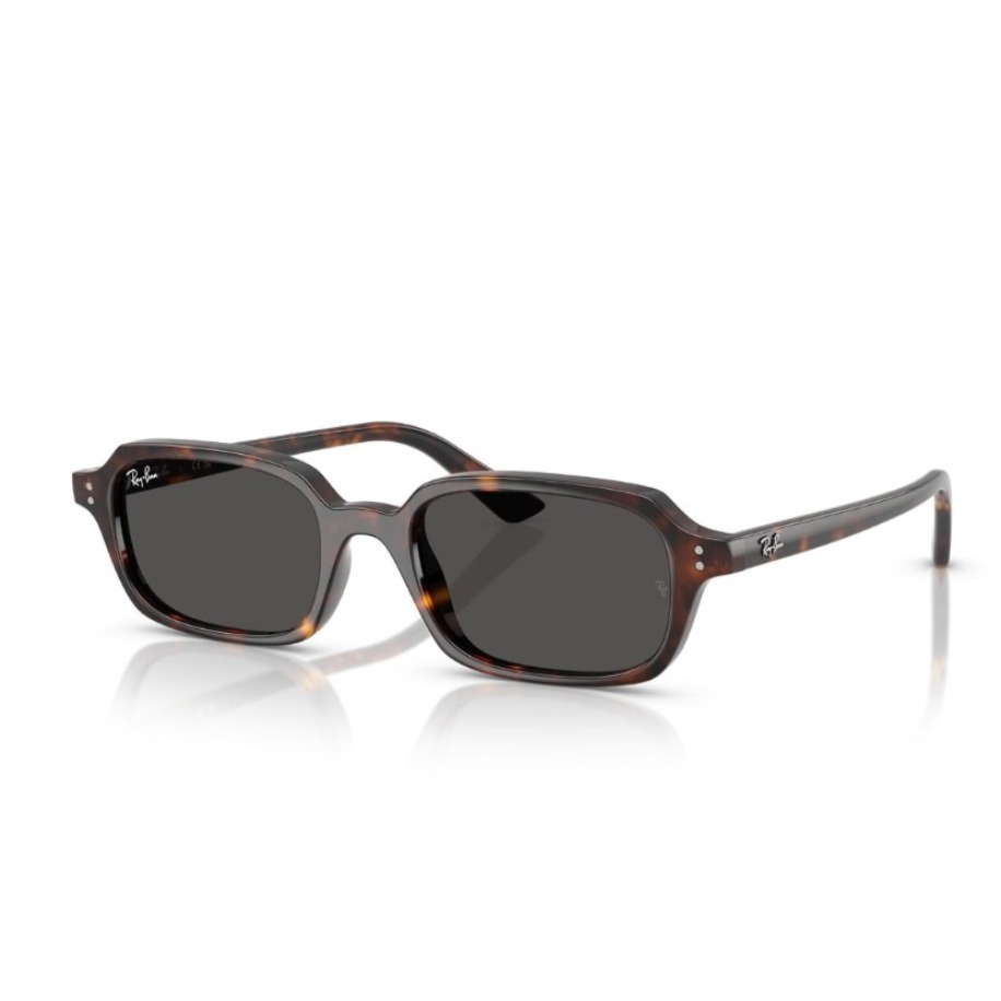 RAYBAN 4455 135987 Unısex Güneş Gözlüğü